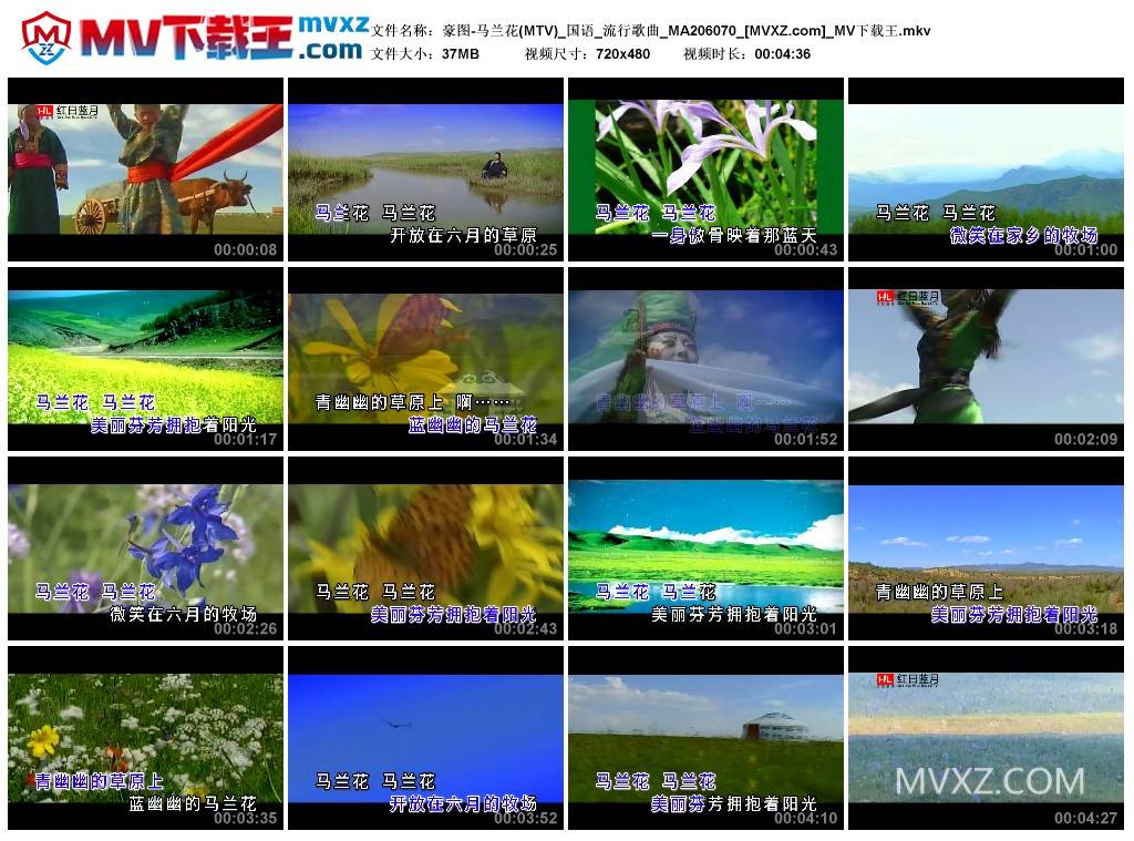 豪图-马兰花(MTV)_国语_流行歌曲_MA206070